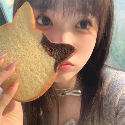 金毛喜迎冬
