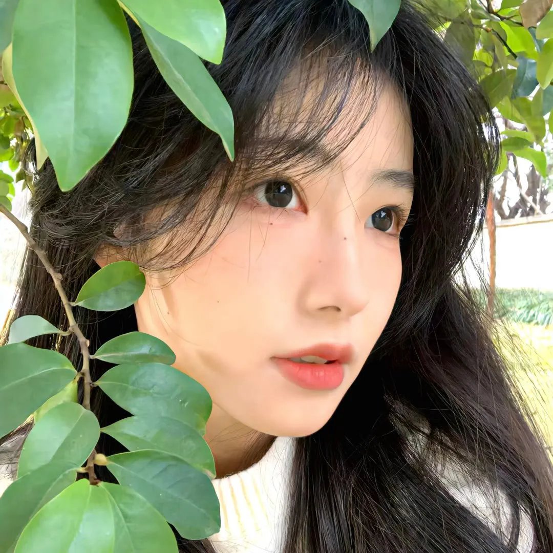 机器肉鸡第四季
